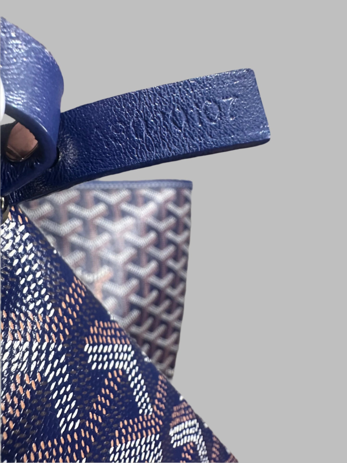 GOYARD Saint Louis PM Bag