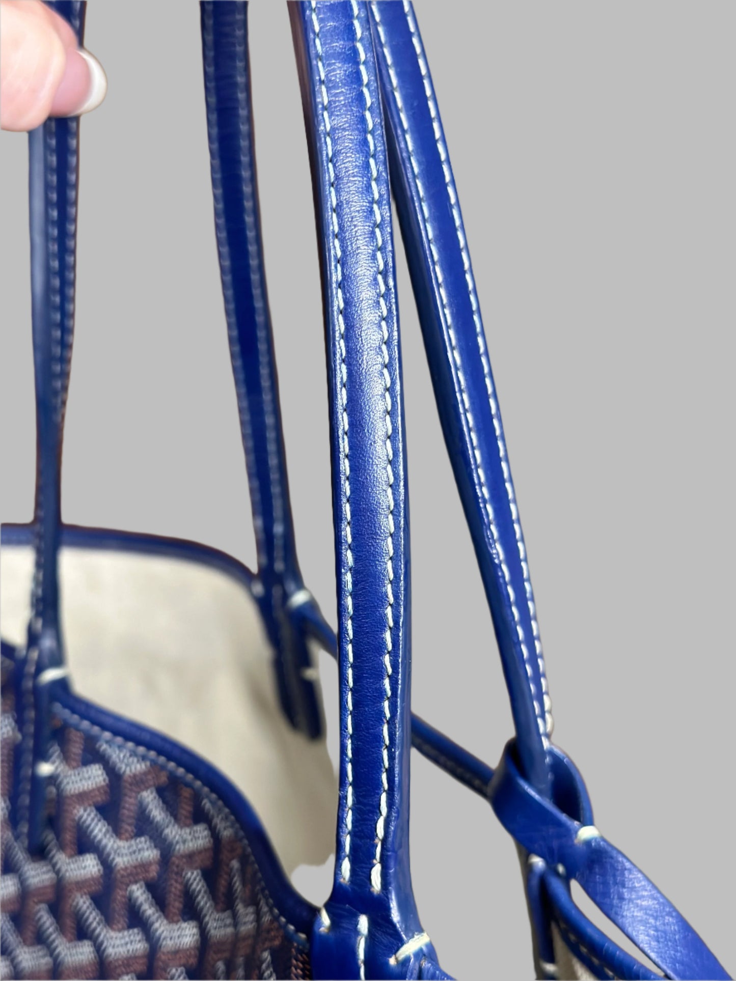 GOYARD Saint Louis PM Bag