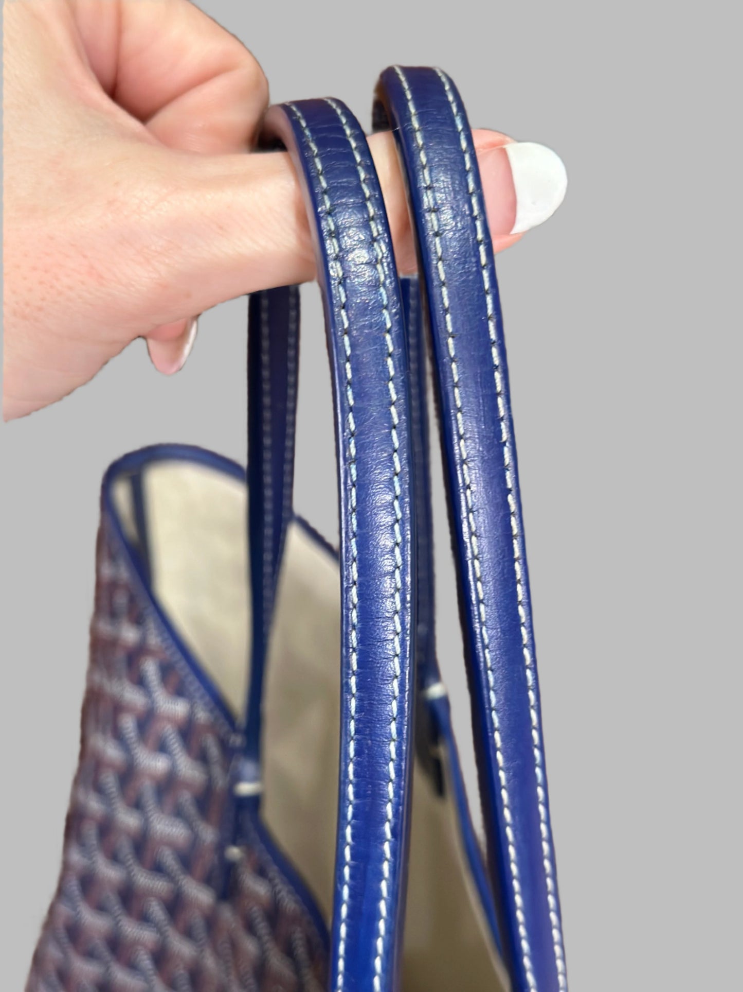 GOYARD Saint Louis PM Bag